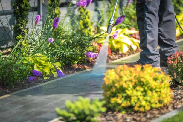 Best Sidewalk and Walkway Cleaning  in Kensington, MD
