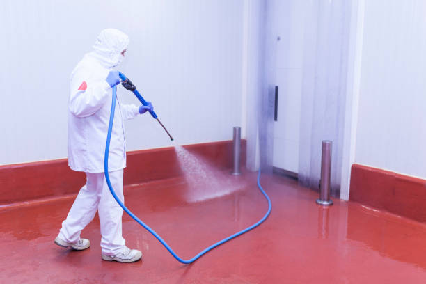 Boat and Dock Cleaning in Kensington, MD